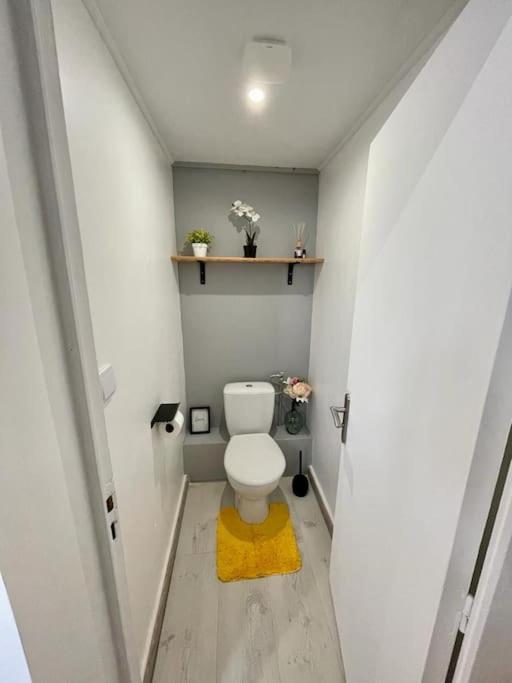 Joli Studio Cozy Tout Equipe Hyper Centre ساتْ المظهر الخارجي الصورة